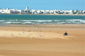 Het brede strand van Essaouira