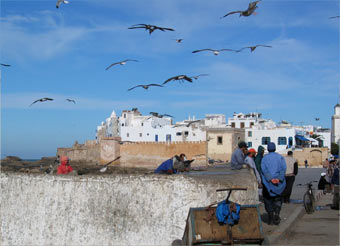 Haven Essaouira